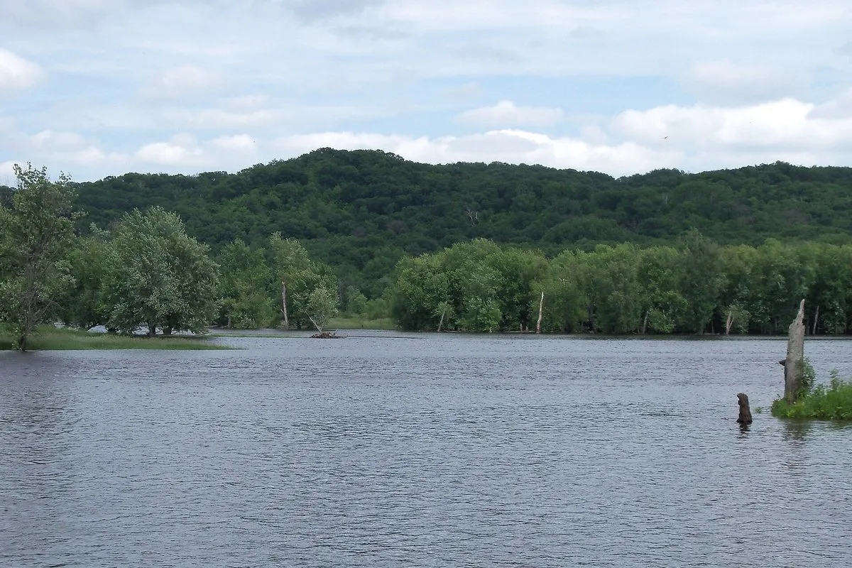 Scenic view of the St. Croix River and forested bluffs at William O'Brien State Park, Minnesota