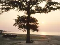 Scenic coastal view at Buccaneer State Park, Mississippi, with lush greenery along the Gulf Coast shoreline