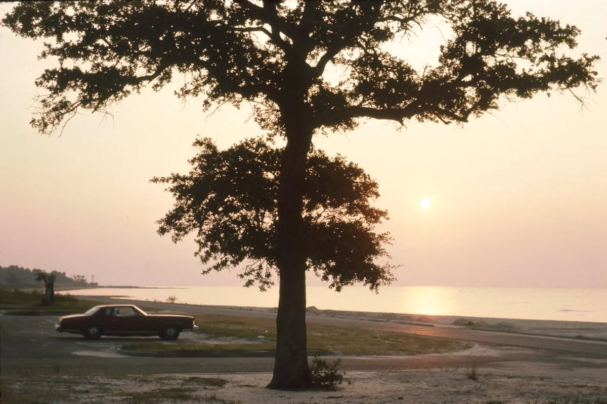 Scenic coastal view at Buccaneer State Park, Mississippi, with lush greenery along the Gulf Coast shoreline
