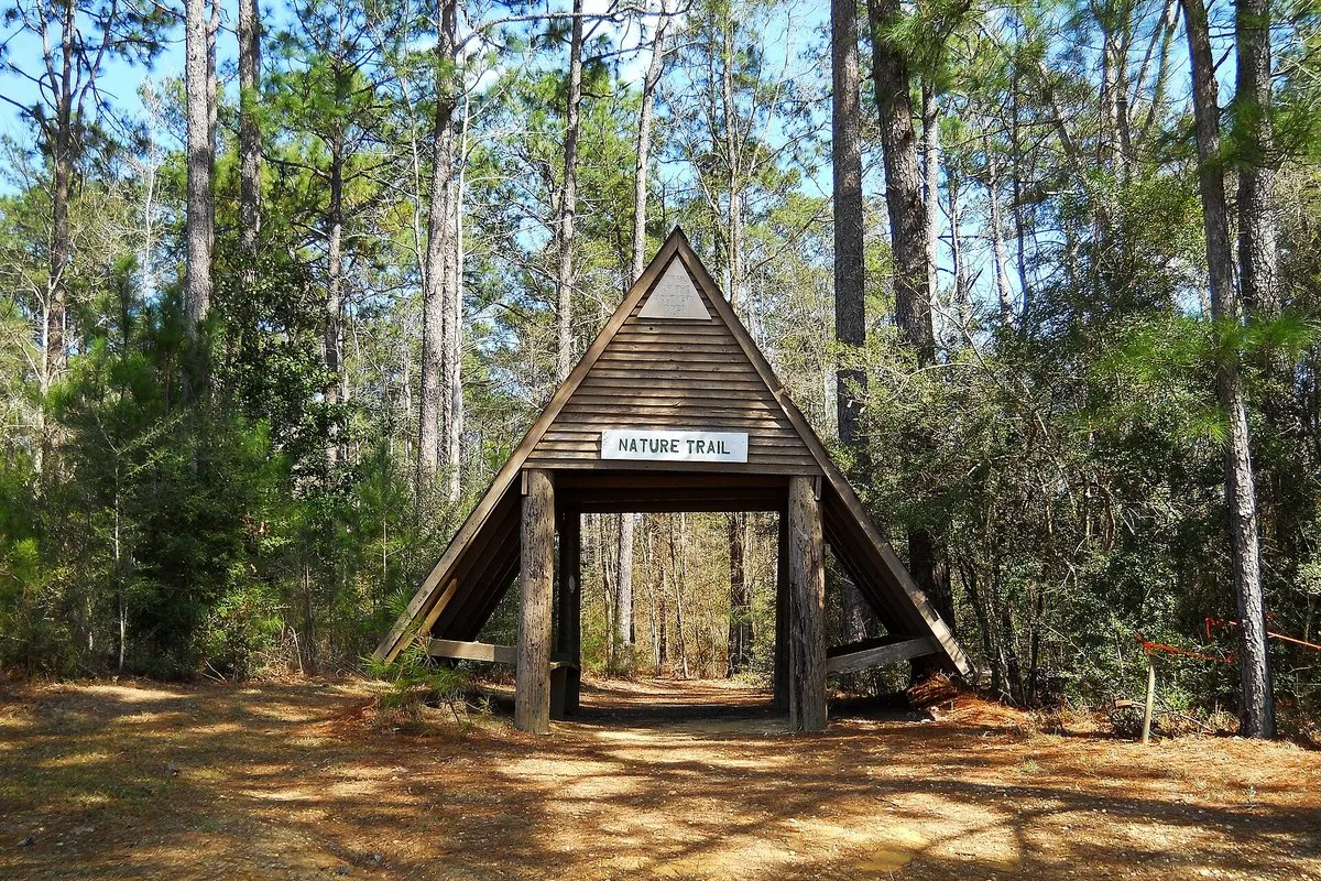 Scenic view of Geiger Lake and forested shoreline at Paul B. Johnson State Park, Mississippi