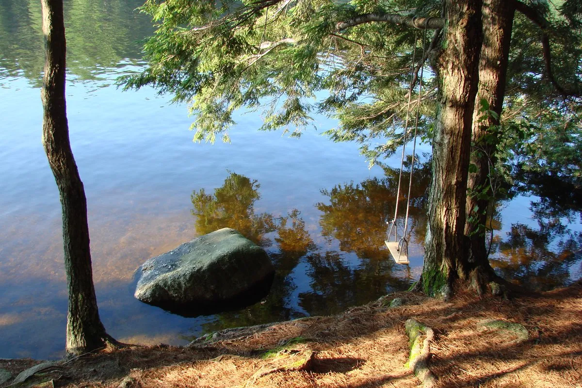 Scenic view of Pawtuckaway State Park, New Hampshire, showing forested trails and a calm lake
