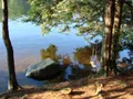 Scenic view of Pawtuckaway State Park, New Hampshire, showing forested trails and a calm lake