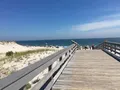 Scenic view of the undeveloped Atlantic shoreline and dunes at Island Beach State Park, New Jersey