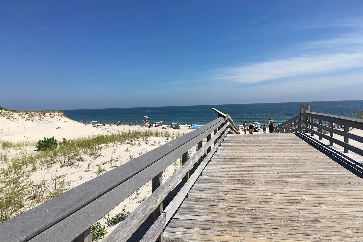 Scenic view of the undeveloped Atlantic shoreline and dunes at Island Beach State Park, New Jersey