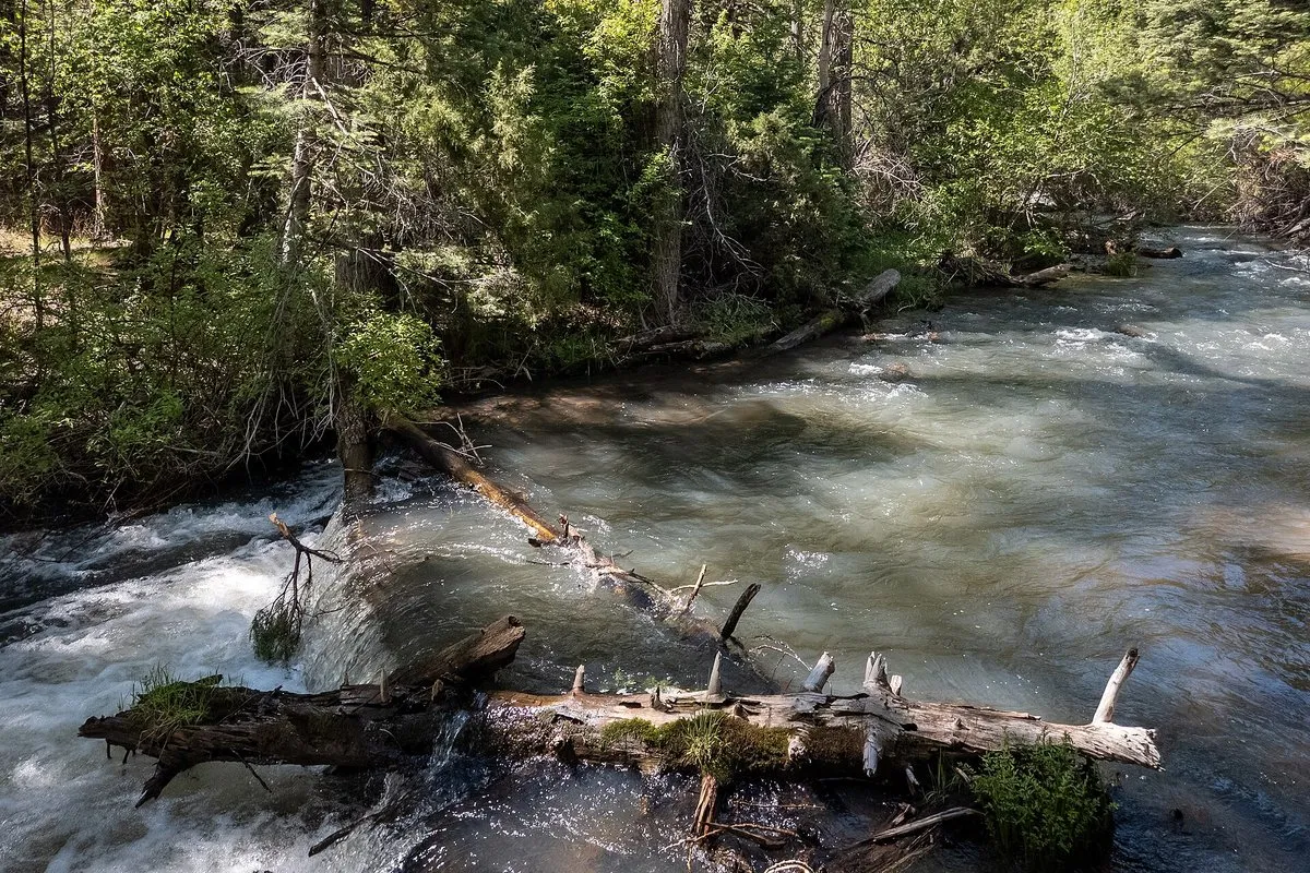 Scenic view of Cimarron Canyon's towering granite cliffs and forested river canyon, New Mexico