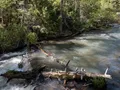 Scenic view of Cimarron Canyon's towering granite cliffs and forested river canyon, New Mexico