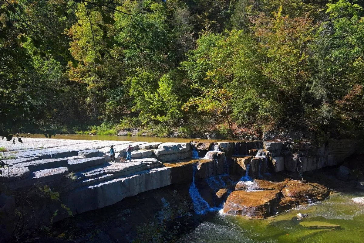 Scenic view of Taughannock Falls plunging into a wide gorge surrounded by layered shale cliffs and forest, Taughannock Falls State Park, New York