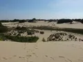 Sweeping view of the vast golden sand dunes at Jockey's Ridge State Park, North Carolina, under a wide open sky