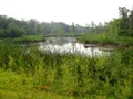 Scenic view of Lake Metigoshe surrounded by wooded Turtle Mountain shoreline, North Dakota