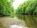 Scenic view of the Clear Fork Gorge hemlock forest and river at Mohican State Park, Ohio