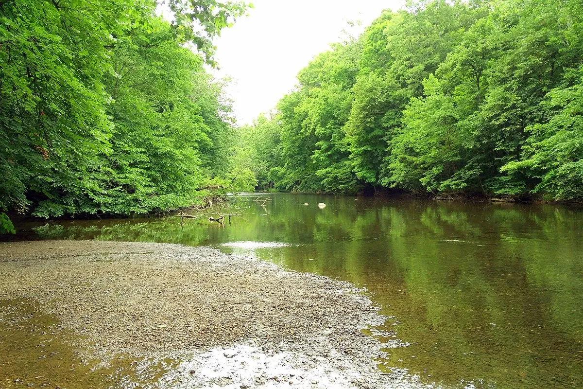 Scenic view of the Clear Fork Gorge hemlock forest and river at Mohican State Park, Ohio