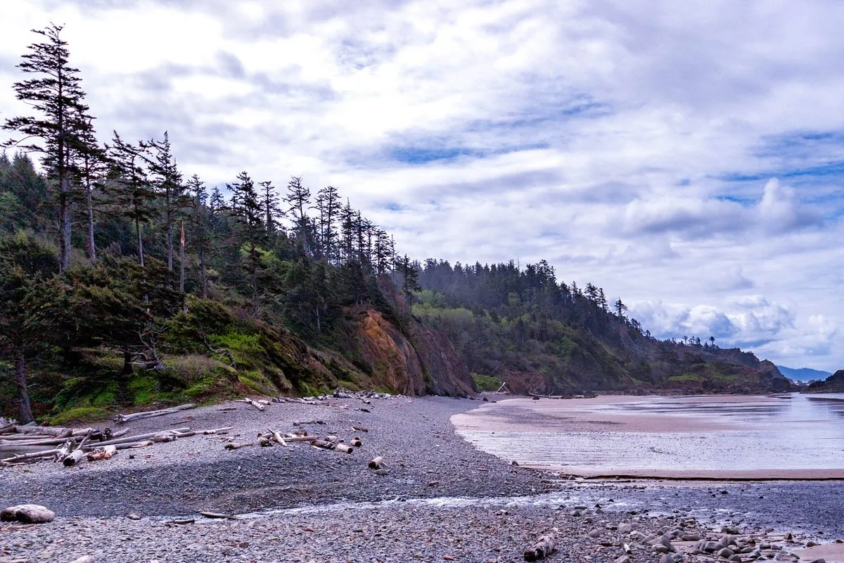 Scenic coastal view at Ecola State Park, Oregon, with rocky headlands, forested cliffs, and the Pacific Ocean stretching to the horizon