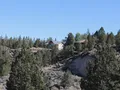 Scenic view at Tumalo State Park, Oregon, with the Deschutes River flowing through a high desert landscape of ponderosa pines