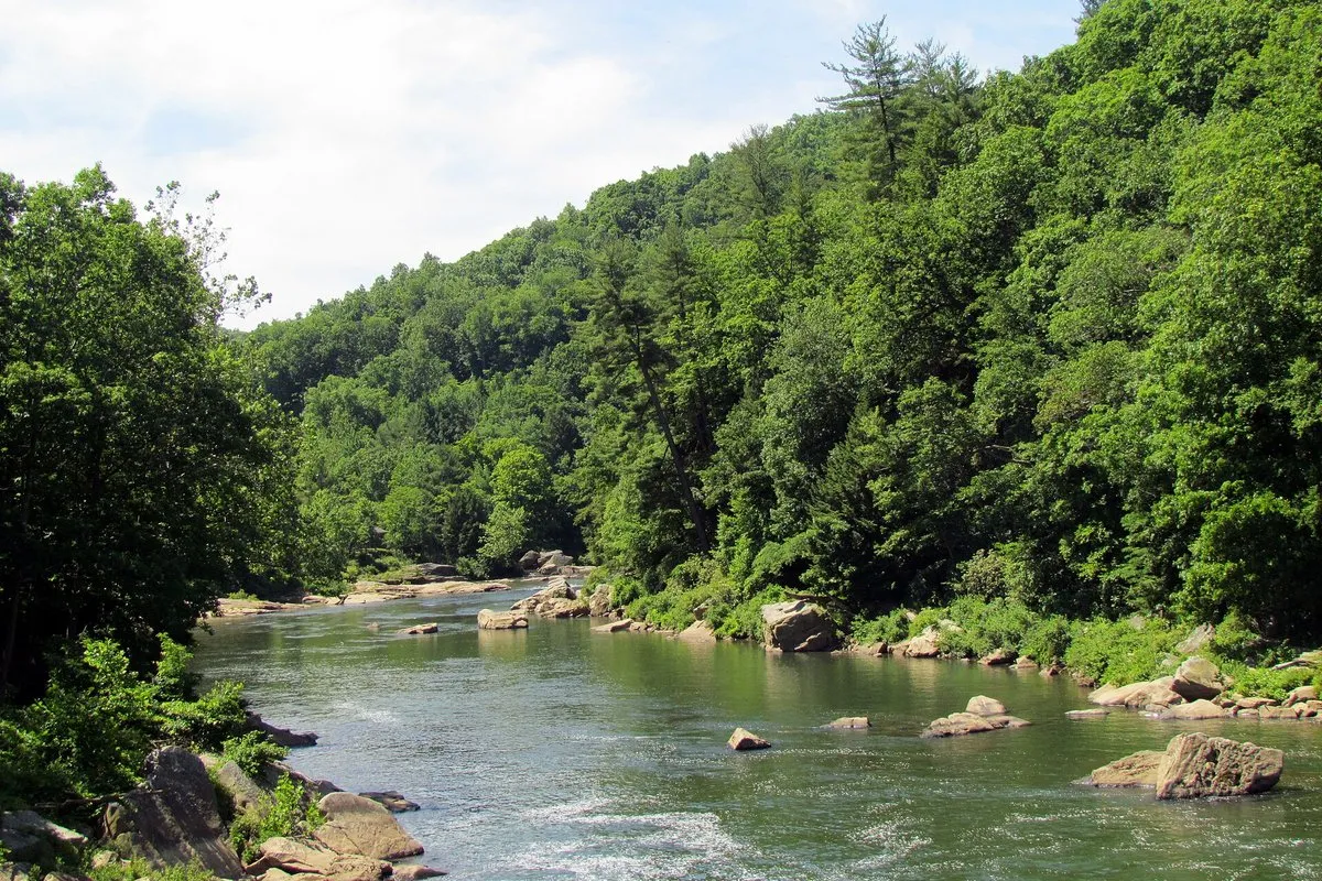 Scenic view of the Youghiogheny River gorge and waterfalls at Ohiopyle State Park, Pennsylvania