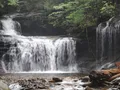 Scenic view of a cascading waterfall along a forest trail at Ricketts Glen, Pennsylvania