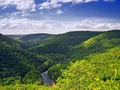 Scenic view of the forested gorge and Loyalsock Creek at World's End State Park, Pennsylvania