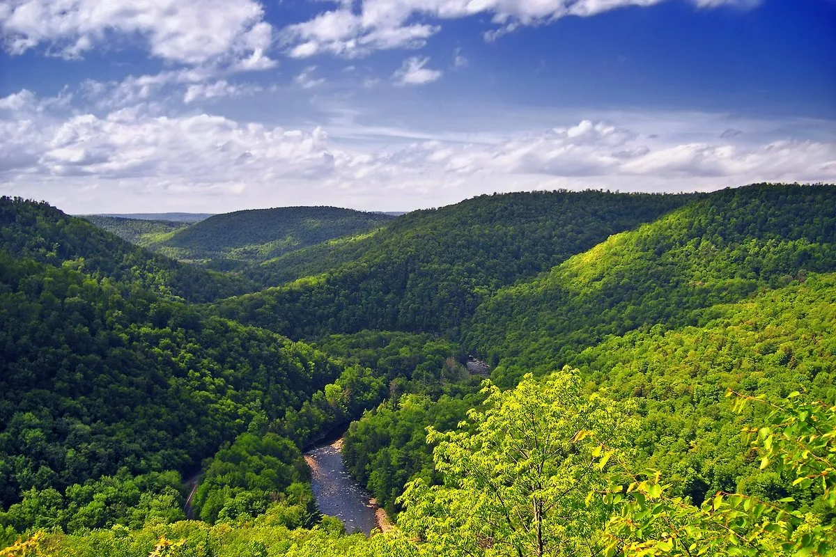 Scenic view of the forested gorge and Loyalsock Creek at World's End State Park, Pennsylvania