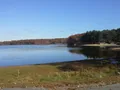 Scenic wooded trail and pond at Lincoln Woods State Park, Rhode Island