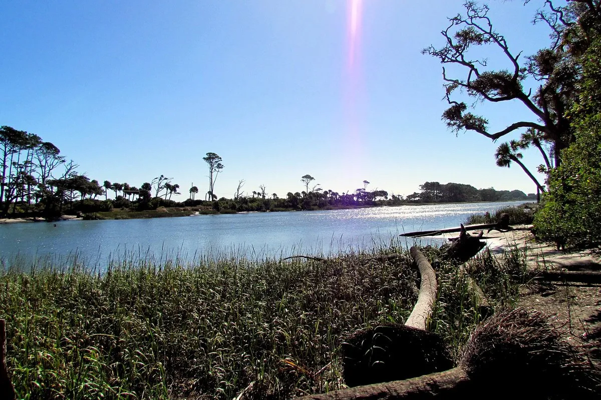 Scenic coastal view at Hunting Island State Park, South Carolina, showing driftwood-lined Boneyard Beach and Atlantic Ocean