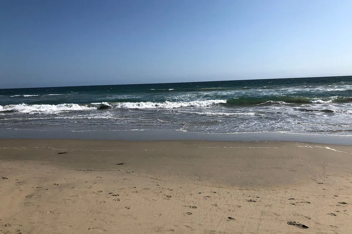 Scenic view of the Atlantic shoreline and sandy beach at Huntington Beach State Park, South Carolina