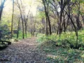 Newton Hills State Park in South Dakota