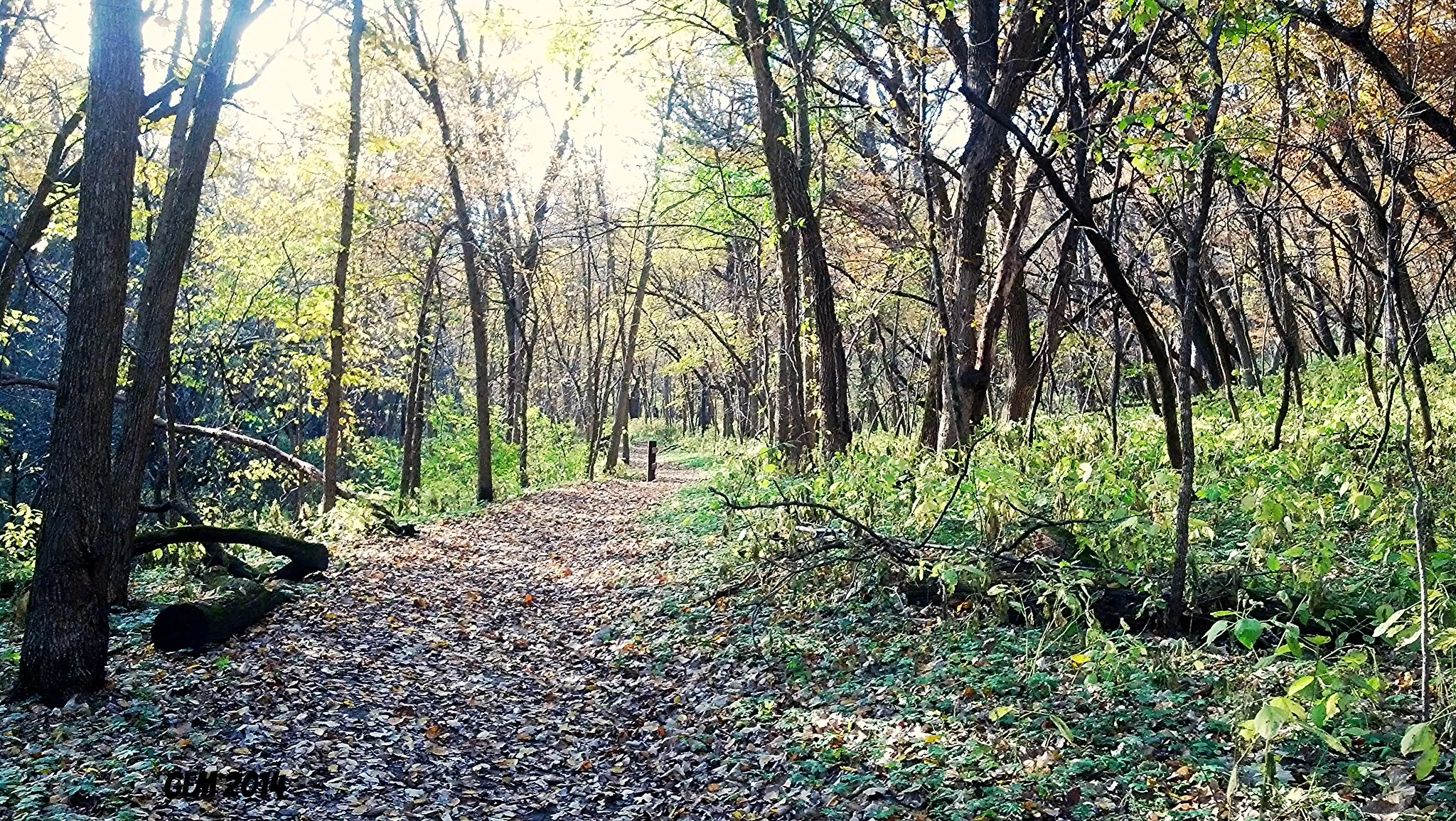 Newton Hills State Park in South Dakota