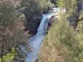 Scenic view of the towering Fall Creek Falls waterfall plunging into a lush gorge in Tennessee
