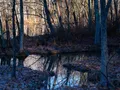 Scenic view of Radnor Lake reflecting surrounding forested hillsides, Tennessee