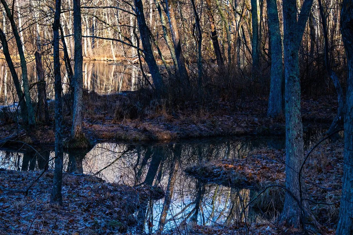 Scenic view of Radnor Lake reflecting surrounding forested hillsides, Tennessee
