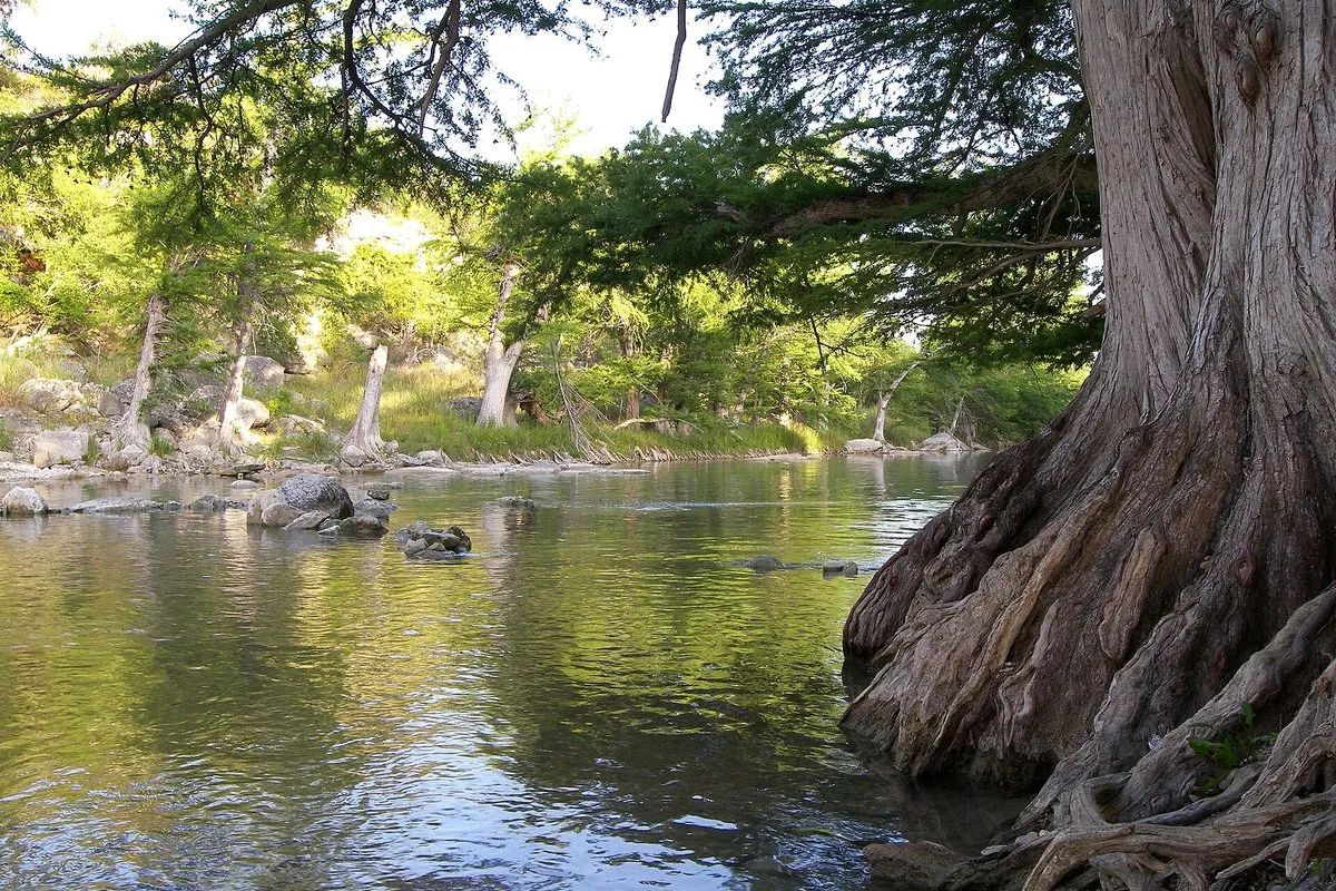 Clear green waters of the Guadalupe River flowing past limestone banks and bald cypress trees in Texas Hill Country