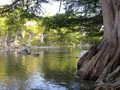 Clear green waters of the Guadalupe River flowing past limestone banks and bald cypress trees in Texas Hill Country