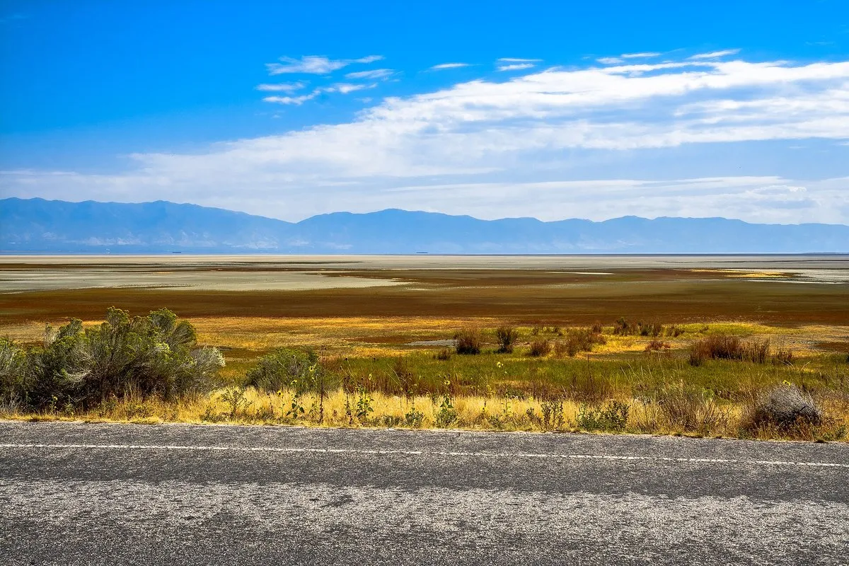 Scenic view at Antelope Island, Utah, with bison roaming golden grasslands and the Great Salt Lake stretching to the horizon