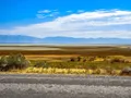 Scenic view at Antelope Island, Utah, with bison roaming golden grasslands and the Great Salt Lake stretching to the horizon