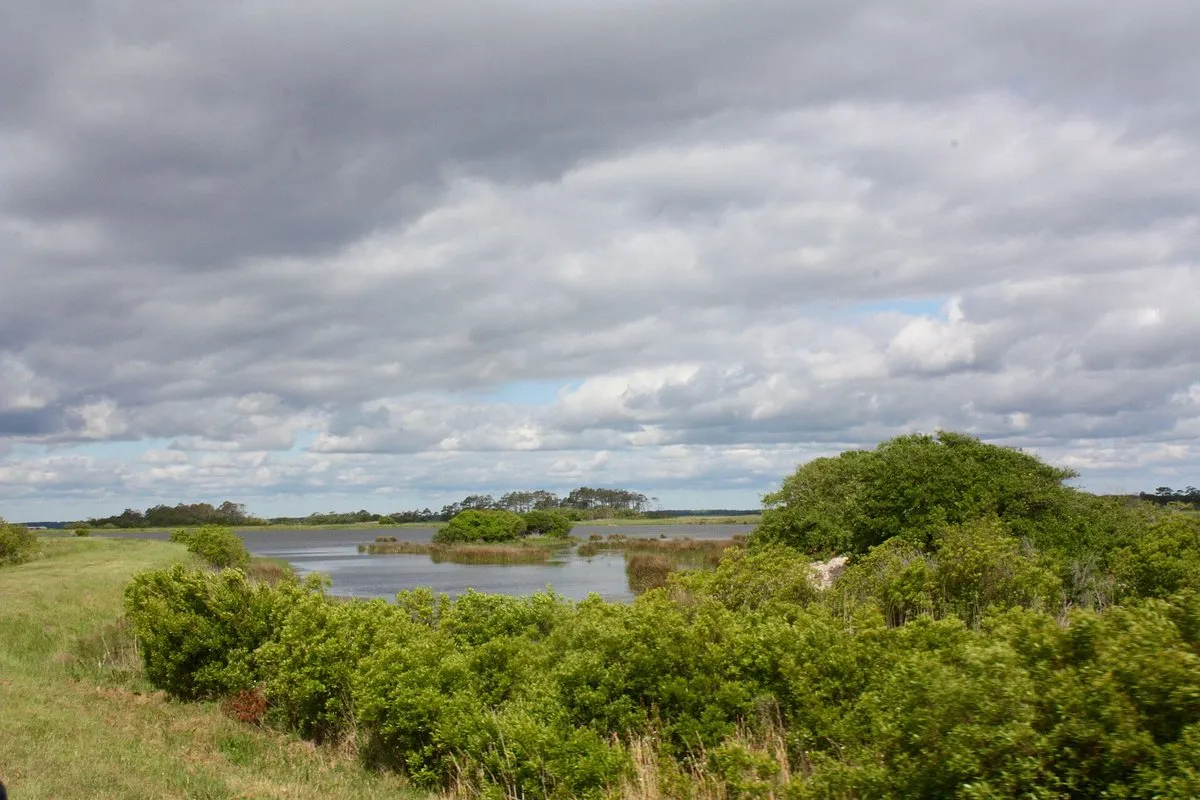 Scenic view of the remote coastline and marshlands at False Cape State Park, Virginia