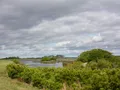 Scenic view of the remote coastline and marshlands at False Cape State Park, Virginia
