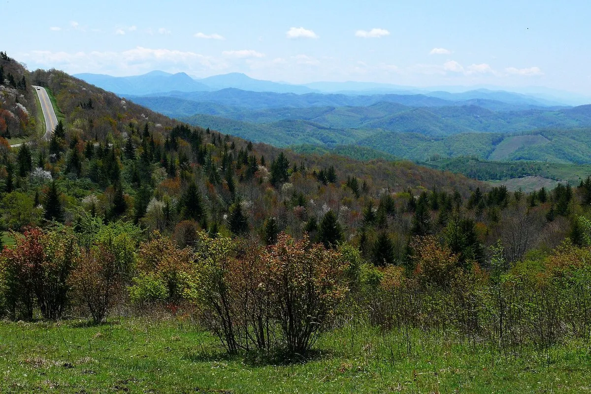 Scenic view of rocky alpine meadows and rolling highlands at Grayson Highlands State Park, Virginia
