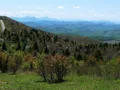 Scenic view of rocky alpine meadows and rolling highlands at Grayson Highlands State Park, Virginia