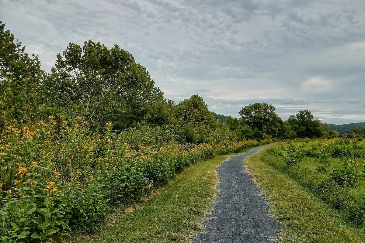 Scenic view at Shenandoah River State Park, Virginia, showing the calm river winding through forested hills