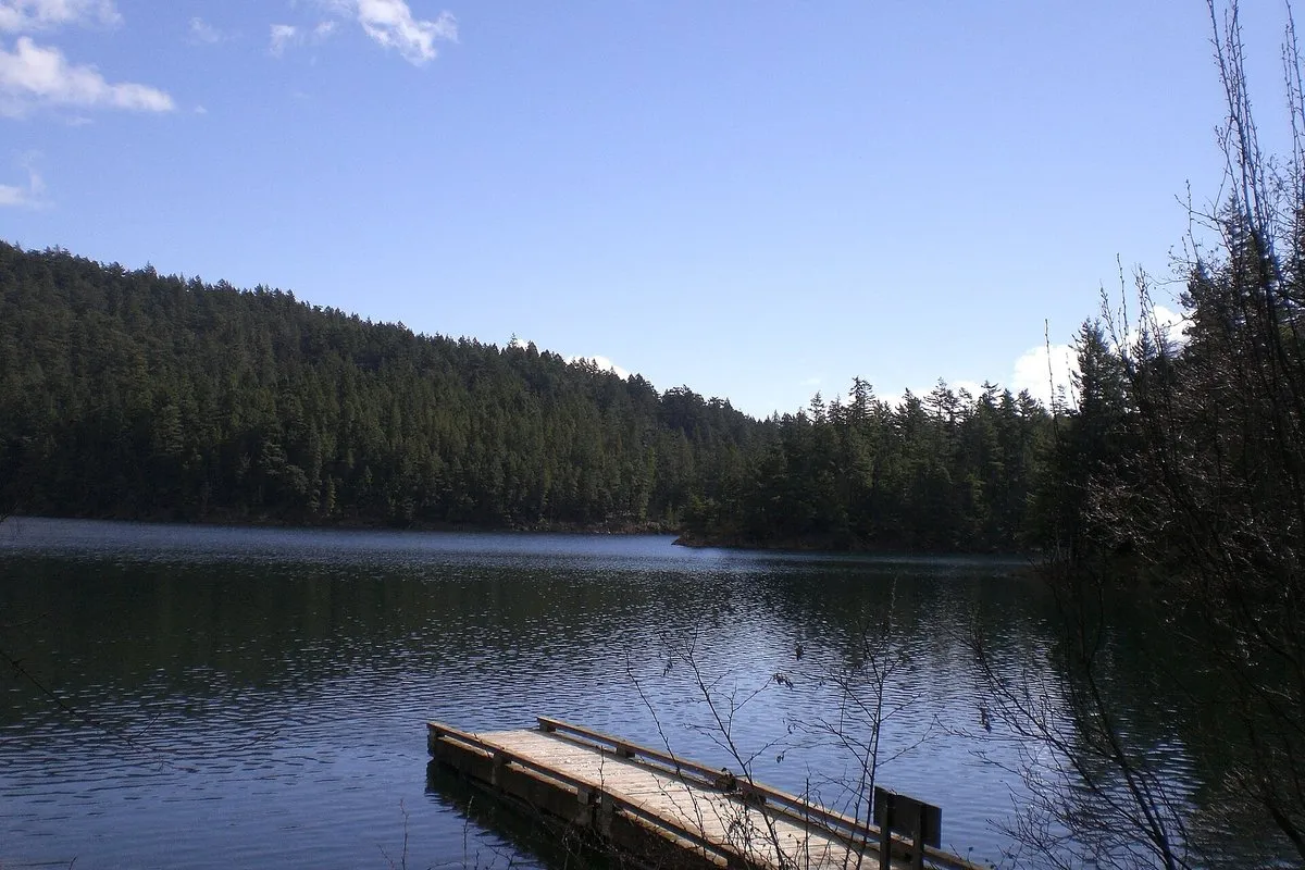 Panoramic view from Mount Constitution at Moran State Park, Washington, with forested hills and island waterways below