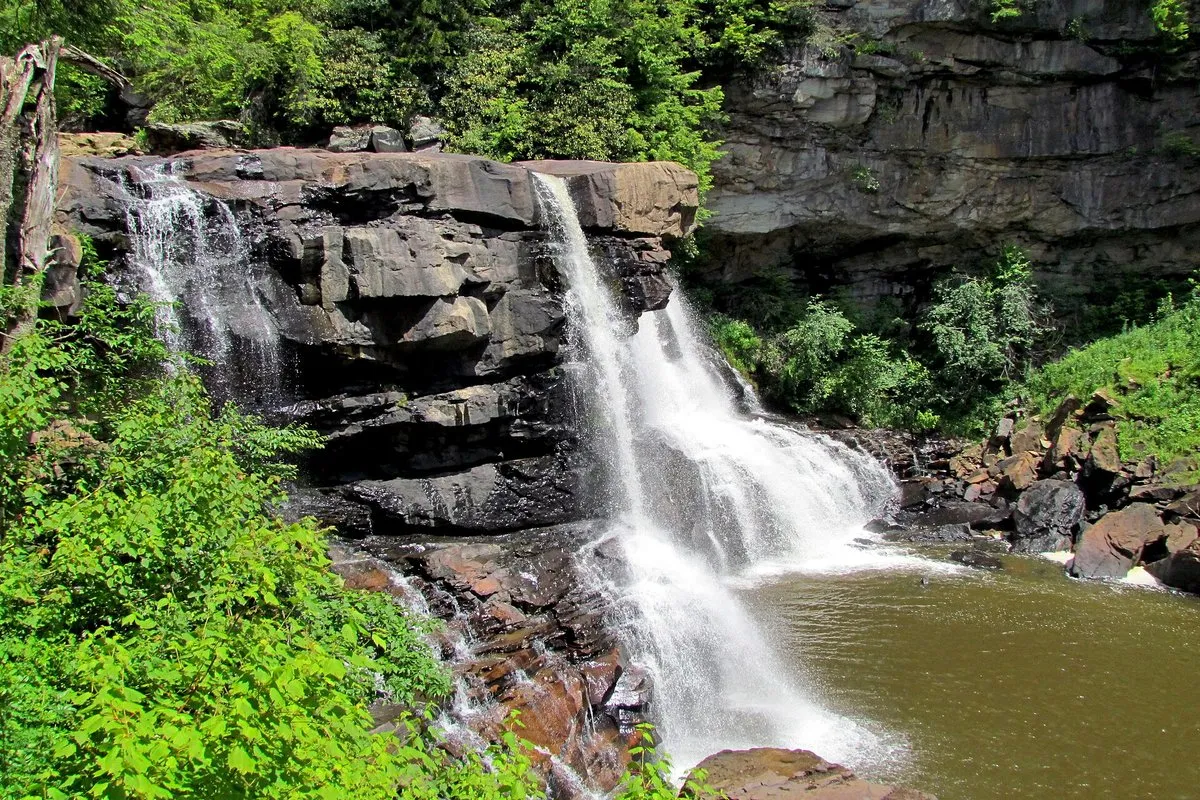 Scenic view of Blackwater Falls cascading amber-colored water through a forested canyon in West Virginia