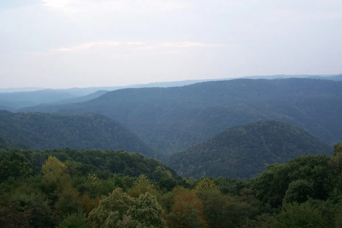 Scenic view of the Bluestone River Gorge from Pipestem Resort State Park, West Virginia